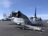 Osprey 1.jpg Osprey 1.jpg
