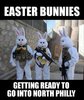Bunnies.jpg