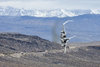 _DSC3076-2.jpg