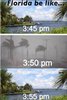 165B744A-1139-4D5E-8FB5-820D9F4C997A.jpeg 165B744A-1139-4D5E-8FB5-820D9F4C997A.jpeg