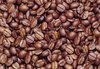 Cof-Bean.jpg