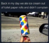 I-ate-ice-cream-from-toilet-roll.png