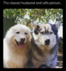 03husband-wife-picture-smile-frown.png