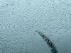 680D7C25-AC06-4970-8796-37D818C9EBBD.jpeg
