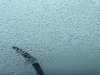 DA1D4400-8028-4558-BA94-A636E0947C37.jpeg