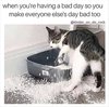 06-cat-having-bad-day.jpg