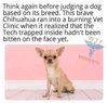 bravechi.jpg
