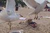 bad day at the beach.JPG