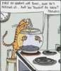 04-cat-fishbowl.png