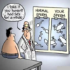 04-normal-sperm.png