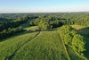 DJI_0961-sm.jpg