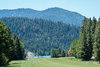 DSC00369.jpg