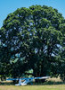 DSC00371.jpg