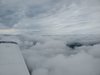 20210628_101827_lowres.jpg 20210628_101827_lowres.jpg