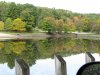 IMG_8972.JPG