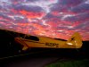 potw16_1450.jpg