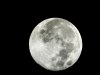 DSC00542.jpg