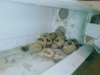 090108mess2.jpg