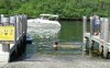 Vette in water 3.jpg