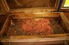 Chest of Drawers_1.jpg