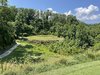 IMG_0868.JPG