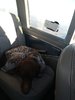 IMG_20200315_183133852.jpg