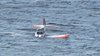 Edmonds Ditching.jpg
