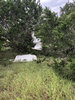 C67DF590-E4DD-4280-B399-27AE09DED5D1.jpeg