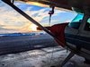 IMG_20200203_073051.jpg