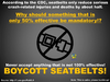 Seatbelts.png