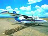 Lionplane.jpg