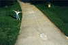 runway - Copy.JPG runway - Copy.JPG