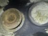 8121k-borescope-pics-1_51550306073_o.jpg