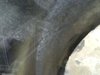 8121k-borescope-pics-3_51550786359_o.jpg