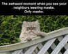 29-masks-only.jpg