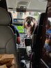 E5B5BCCD-F78D-4E6C-8EF9-E42BC07ED27F.jpeg