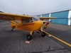 IMG_20211102_092056196.jpg