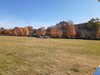 20211113_123335.jpg