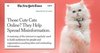 28-1221cat1.jpg