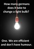 GermansChangingLightBulb.jpeg GermansChangingLightBulb.jpeg
