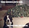 20-Thank-Goodness-Youre-Home.jpg