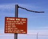 windsock.jpg