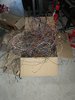 IMG_1218.jpeg IMG_1218.jpeg