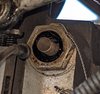 PXL_20211219_202654609.jpg