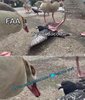 FB_IMG_1640741868014.jpg