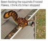 FB_IMG_1640871747631.jpg