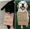 All.Labs.Matter.jpg All.Labs.Matter.jpg