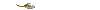 heli.gif