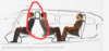 upload_2022-1-18_19-56-4.png