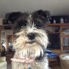 image.jpeg image.jpeg